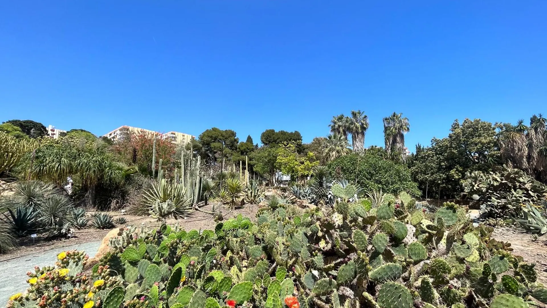 Acogedor Apartamento En Benalmadena Vistas España
